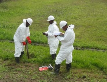 12924562_1667147593536427_726991435901650549_n